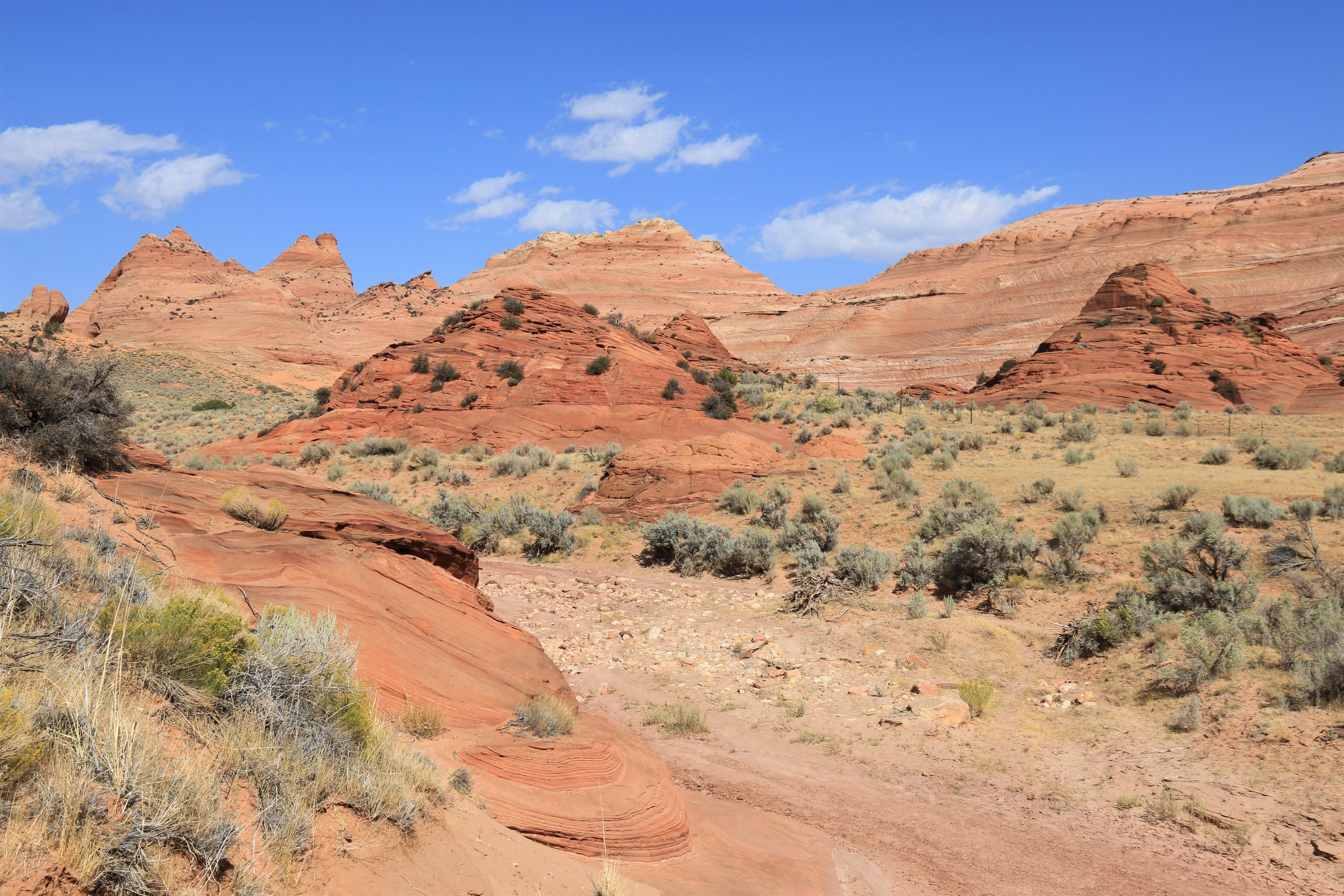 Vermillion Cliffs NM